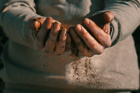 Collecting Coffee Grounds